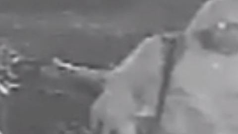El sospechoso fue grabado por una cámara de vigilancia, después del ataque en El Bronx.
