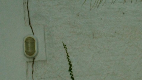 ¿Adivinan quién es la madre y quién la hija?