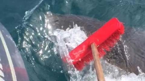 Los navegantes se encontraban a, aproximadamente, 30 metros de profundidad.