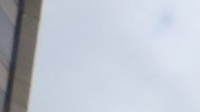 Mujeres se encuentran enfrente del edificio de Trump en Columbus Circle para protestar y repudiar al candidato a presidente por su comentario en contra de las mujeres y la seriedad del abuso sexual .
Foto Credito: Mariela Lombard / El Diario NY