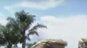 Usain Bolt sí que sabe divertirse y publicitar su imagen hasta en sus vacaciones.