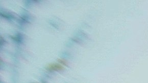 En el estado de Nueva York el plazo para registrarse para votar vence el 14 de octubre.