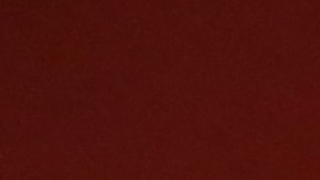 La dominicana Sussie Lozada, quien es de fe musulmana, muestra su IDNYC.