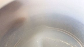 Autoridades mexicanas realizan análisis en los especímenes estadounidenses.