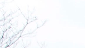 Los republicanos iban encaminados a mantener el control del Senado en Albany.