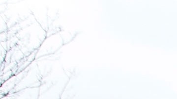 Los republicanos iban encaminados a mantener el control del Senado en Albany.