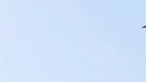 La alegría y el baile nunca faltan en las celebraciones dominicanas.