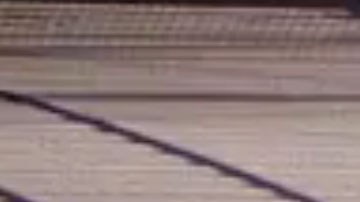 Daniel Suárez es originario de Monterrey, México.