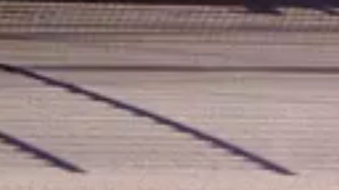 Daniel Suárez es originario de Monterrey, México.