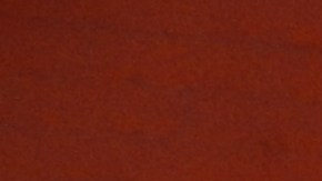 Michelle Bell -en esta foto junto a sus hijos- votó en Inwood.