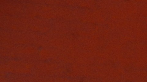 Michelle Bell -en esta foto junto a sus hijos- votó en Inwood.