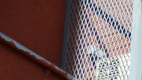 Adriano Espaillat acudió a su centro en Inwood para votar.