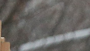 El departamento de educación de la Ciudad se mostró agradecido por el acuerdo y anunció la normalidad del servicio de buses escolares.