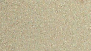 TYLER,TX - SEPTEMBER 11: Monolingual Hispanic students raise their hands to answer a question during a class taught in Spanish at Birdwell Elementary School September 11, 2003 in Tyler, Texas. The first grade students spend half their school day learning reading, writing, and arithmetic in Spanish and the other half learning them in English. Birdwell, a school of 600 students, 60 percent of them Hispanic with a significant portion of them Spanish speakers, requires a dual-language curriculum for it?s kindergarten and first graders. (Photo by Mario Villafuerte/Getty Images)