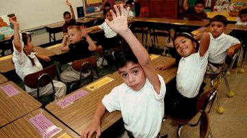 TYLER,TX - SEPTEMBER 11: Monolingual Hispanic students raise their hands to answer a question during a class taught in Spanish at Birdwell Elementary School September 11, 2003 in Tyler, Texas. The first grade students spend half their school day learning reading, writing, and arithmetic in Spanish and the other half learning them in English. Birdwell, a school of 600 students, 60 percent of them Hispanic with a significant portion of them Spanish speakers, requires a dual-language curriculum for it?s kindergarten and first graders. (Photo by Mario Villafuerte/Getty Images)
