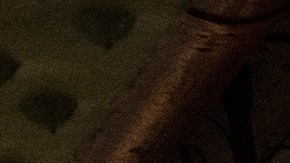 Un joven altamente intoxicado supuestamente empujó a su amigo a las vías del tren a su paso por Chelsea.