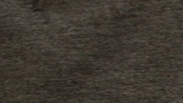 Una joven neoyorquina se encontró lo que nadie quiere encontrase en su vestido de fiesta.