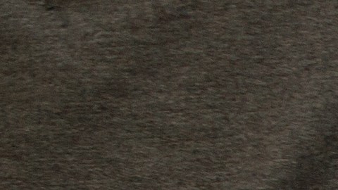 Una joven neoyorquina se encontró lo que nadie quiere encontrase en su vestido de fiesta.