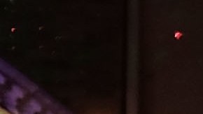 Dyker Heights / Spencer Platt.