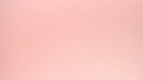 La actriz de mujeres desesperadas hizo campaña por Hillary hasta el final.