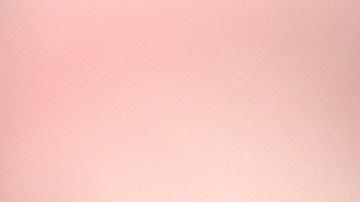 La actriz de mujeres desesperadas hizo campaña por Hillary hasta el final.