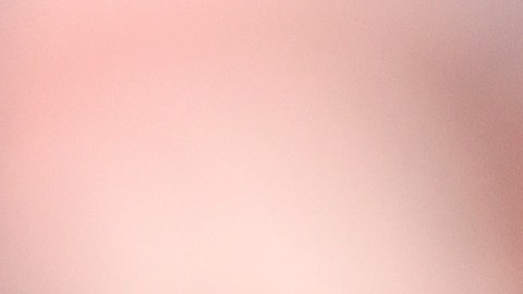 La actriz de mujeres desesperadas hizo campaña por Hillary hasta el final.