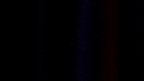 Donald Trump será el nuevo presidente de los Estados Unidos.