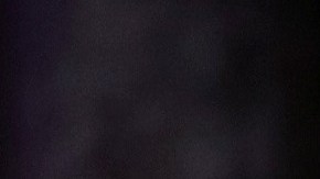 Barron ha acompañado a su padre en algunos eventos públicos.