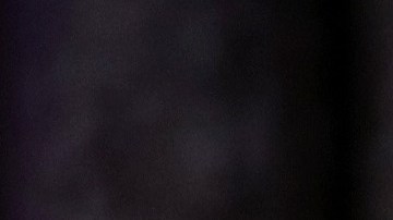 Barron ha acompañado a su padre en algunos eventos públicos.