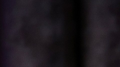 Barron ha acompañado a su padre en algunos eventos públicos.