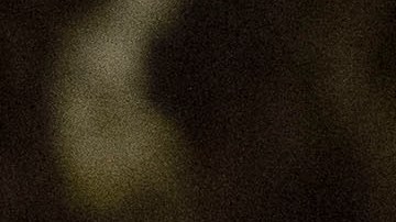 Sean Spicer, director de comunicación del Partido Republicano.