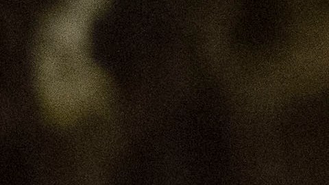 Sean Spicer, director de comunicación del Partido Republicano.