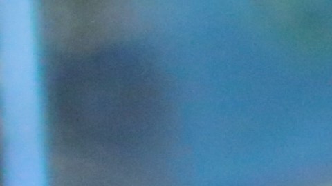 Kellyanne Conway, una de las asesoras de Trump, es quien ha hablado más abiertamente con la prensa.