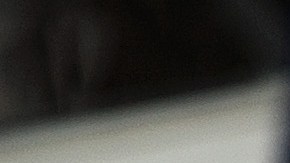 Las opiniones favorables sobre Trump también aumentaron, según la encuesta de Político.