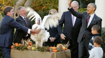 Barack Obama durante la tradicional ceremonia del "perdón del pavo".