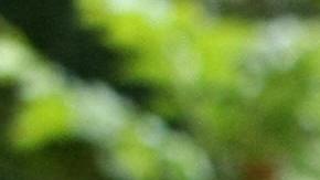 Venezuelan President Hugo Chavez (R) holds up the minutes of the constitutional amendment handed in by the president of the National Assembly Cilia Flores (L) on February 19, 2009 in Catia, a poor neigborhood west of Caracas. Chavez enacted Thursday the amendment approved Sunday in a referemdum, which will allow indefinite re-election in Venezuela. AFP PHOTO/Pedro REY (Photo credit should read PEDRO REY/AFP/Getty Images)