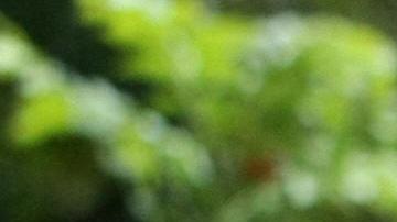 Venezuelan President Hugo Chavez (R) holds up the minutes of the constitutional amendment handed in by the president of the National Assembly Cilia Flores (L) on February 19, 2009 in Catia, a poor neigborhood west of Caracas. Chavez enacted Thursday the amendment approved Sunday in a referemdum, which will allow indefinite re-election in Venezuela. AFP PHOTO/Pedro REY (Photo credit should read PEDRO REY/AFP/Getty Images)