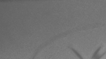 El joven de 23 años ha heredado el look de chico malo de su padre.