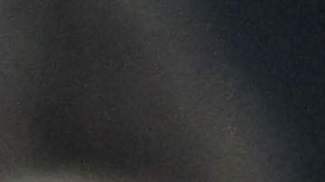 Las elecciones causaron gran estrés, preocupación y ansiedad, principalmente entre los inmigrantes indocumentados.