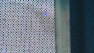 "No entiendo cómo puede triunfar el odio", dijo sobre la victoria de Trump.