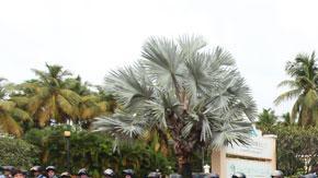 Anticipando manifestaciones de protesta dentro o fuera del hotel, la Policía desplegó un contingente de oficiales en los alrededores, comenzando por la entrada de la complejo turístico en la avenida Conquistador.