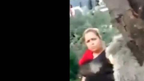 lady mata perros