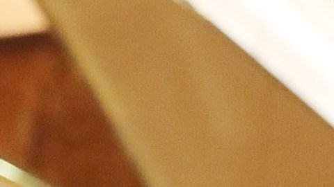 Mike Pence, Reince Priebus, Rudolph Giuliani y  Steve Bannon son los más cercanos al presidente electo.