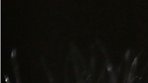 El pavo es un platillo muy popular en las celebraciones.