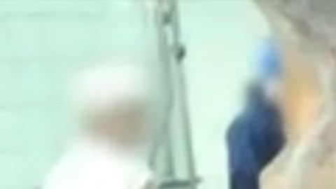 Imagen del video distribuido por PETA.