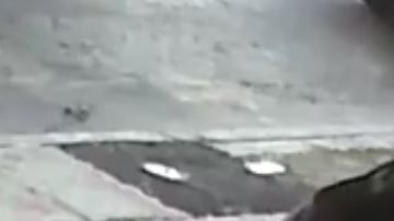 Sospechoso de robar el bolso de una anciana en Brooklyn.