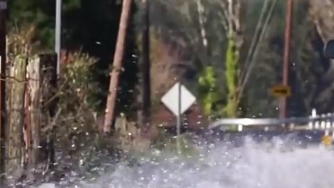 Los conductores incluso ya saben cómo evitar atropellar a los salmones.