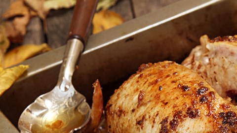 pavo thanksgiving
