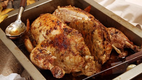 pavo thanksgiving