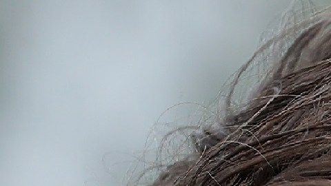 Justin Trudeau no acudirá al sepelio oficial de Castro en La Habana.